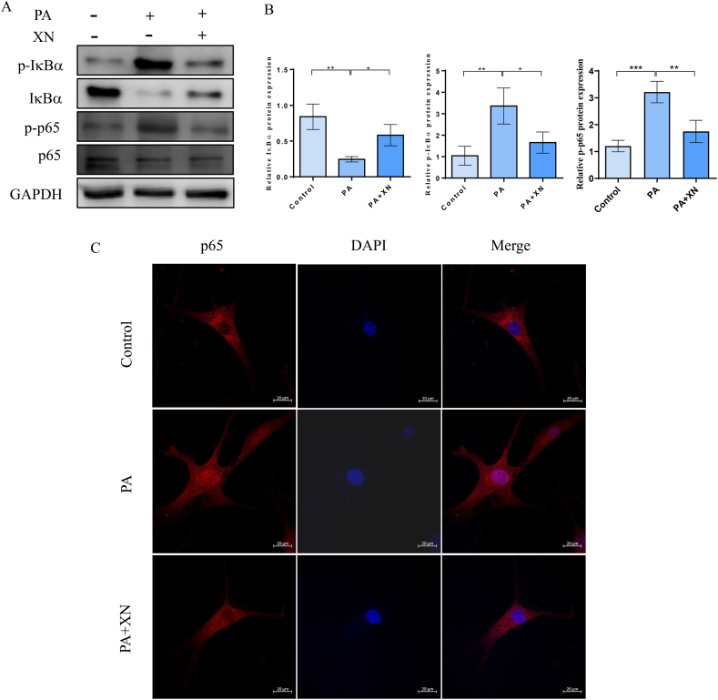 Fig. 4