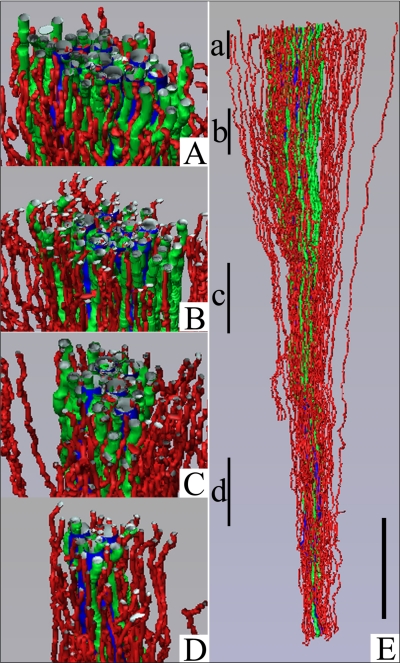 Fig. 7.