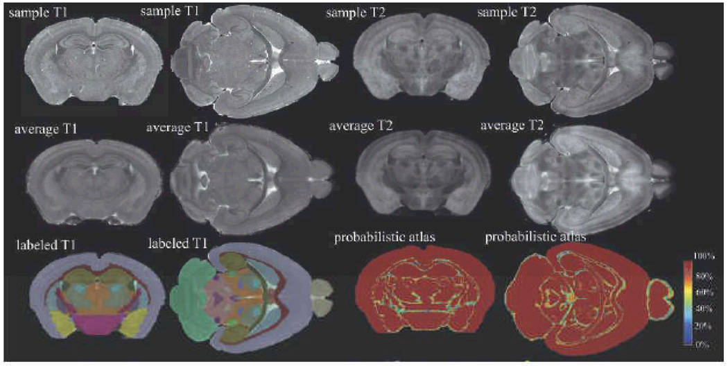 Figure 14