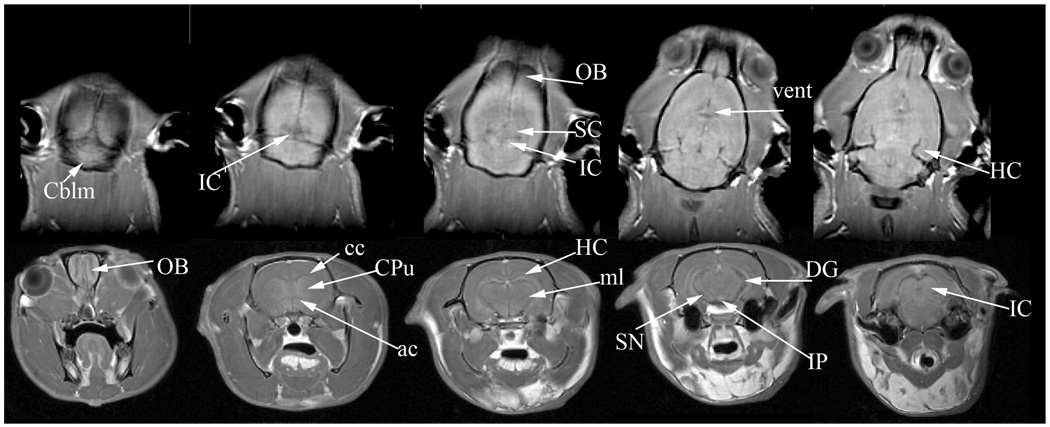 Figure 13