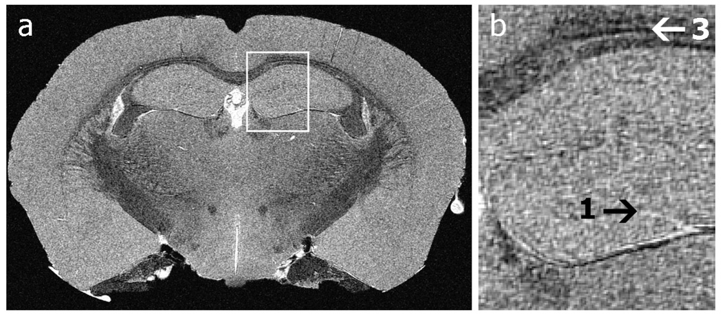 Figure 16