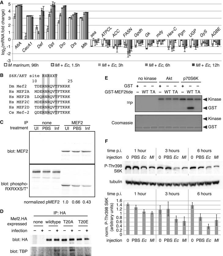 Figure 6