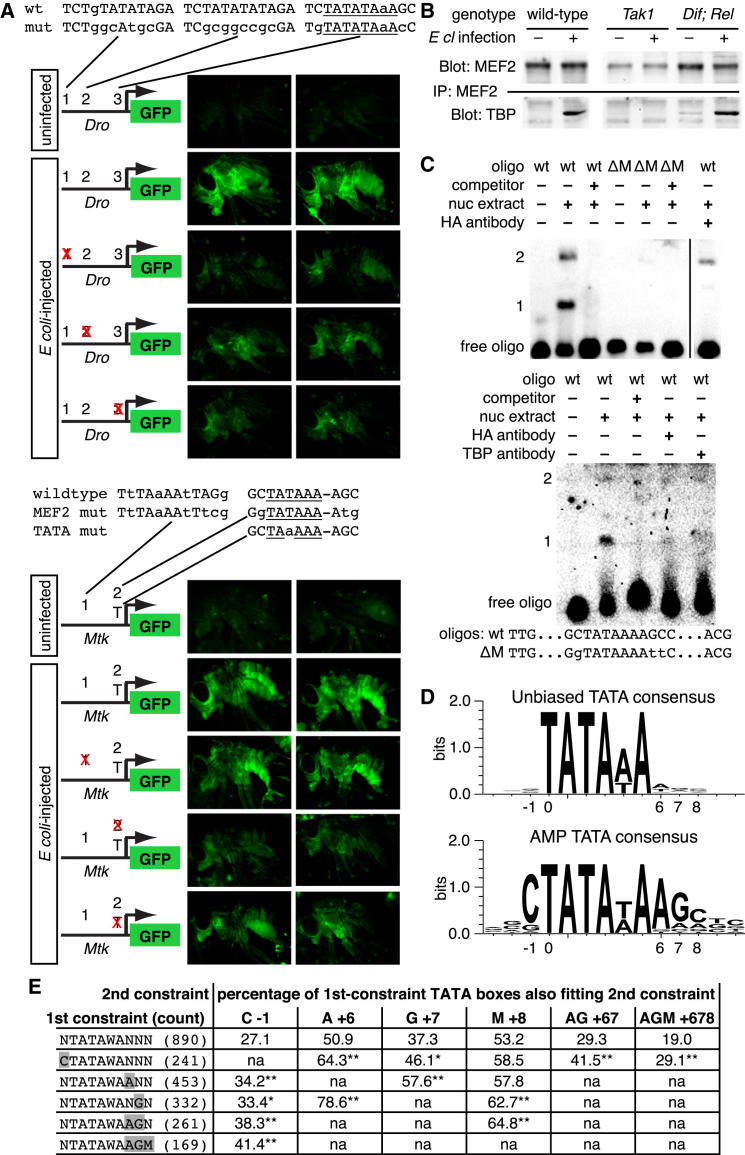 Figure 5