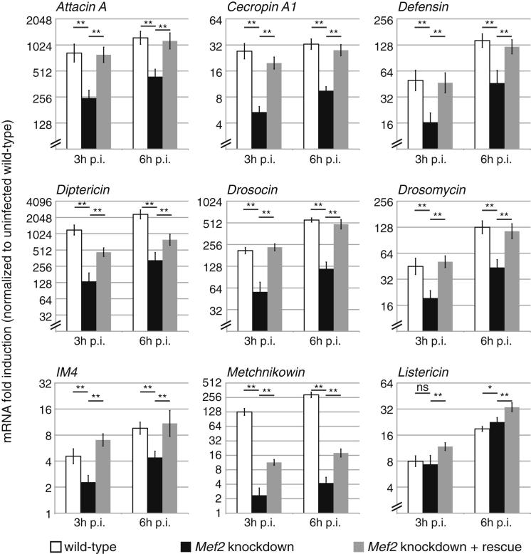 Figure 4