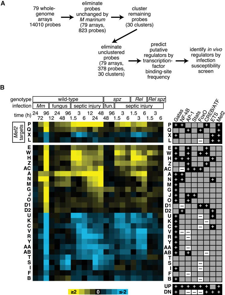 Figure 1