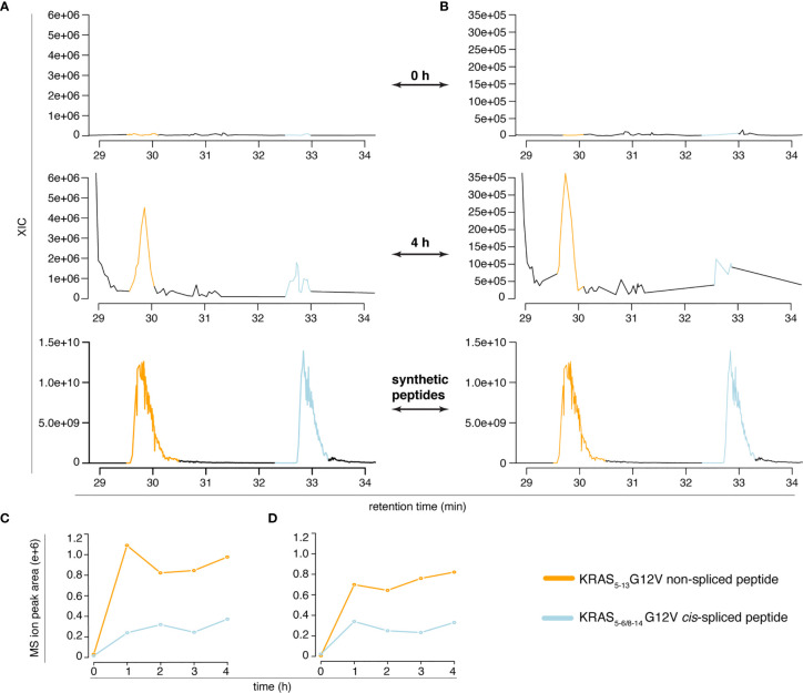 Figure 4