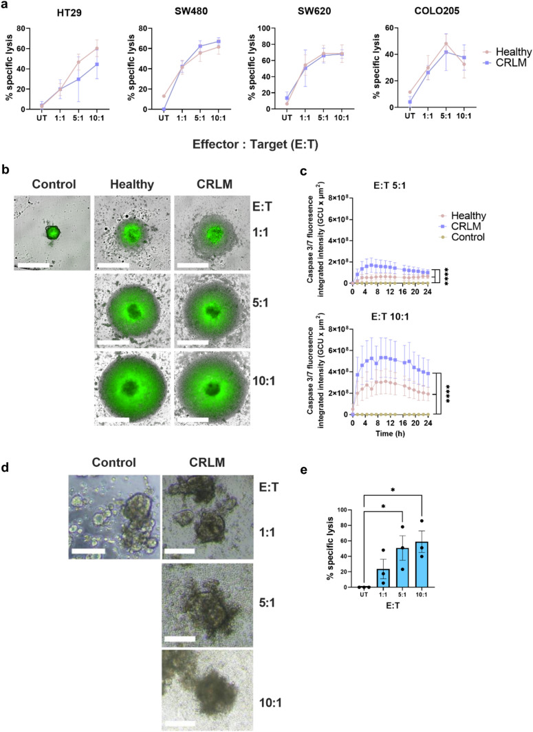 Fig. 4