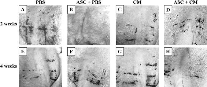 Fig. 4