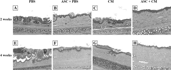 Fig. 5