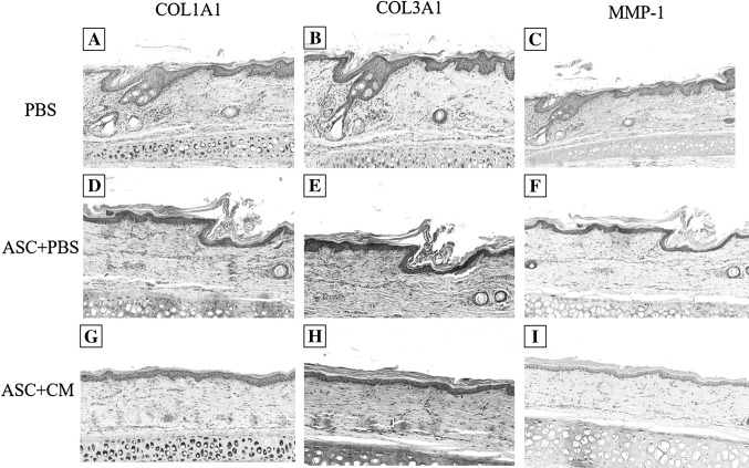 Fig. 9