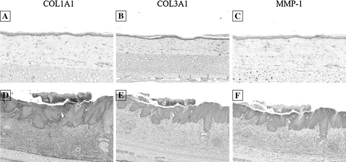 Fig. 8