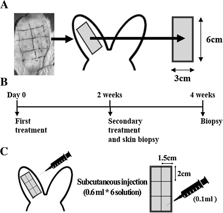 Fig. 1