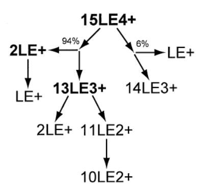 Scheme 4