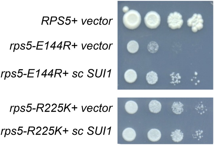 Figure 4—figure supplement 1.