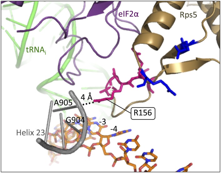 Figure 9—figure supplement 1.