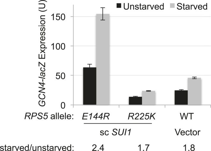 Figure 4—figure supplement 2.