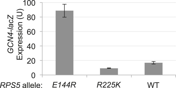 Figure 6—figure supplement 1.