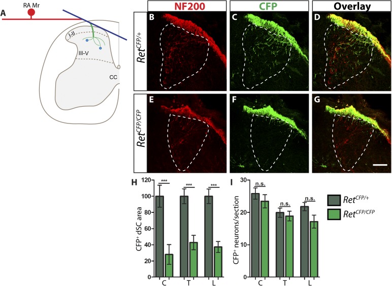 Figure 1—figure supplement 2.