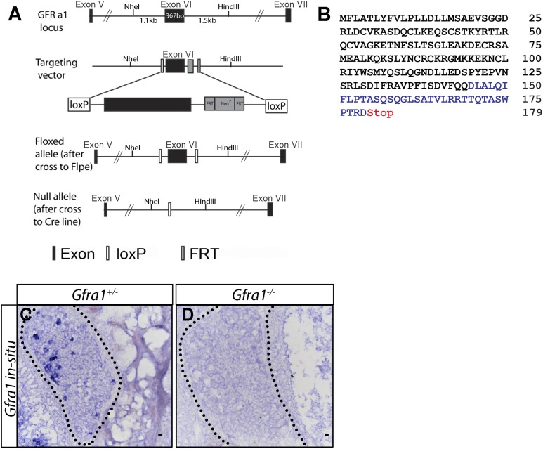 Figure 1—figure supplement 3.