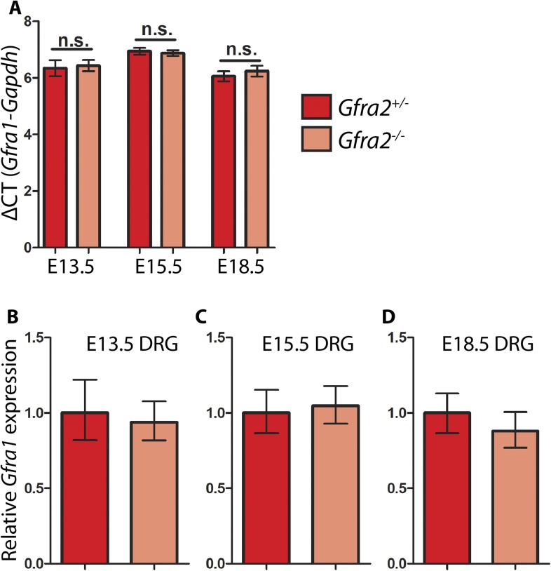 Figure 6—figure supplement 1.