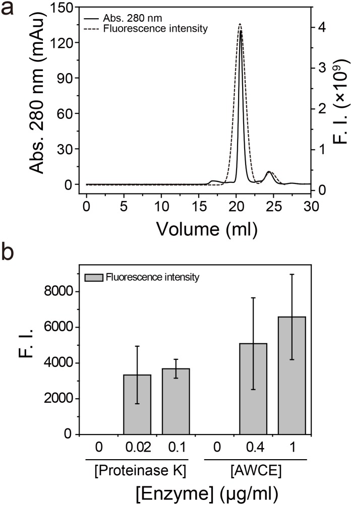 Fig 6