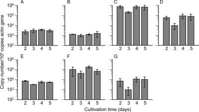 FIG. 2.