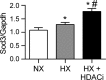 Fig. 9.