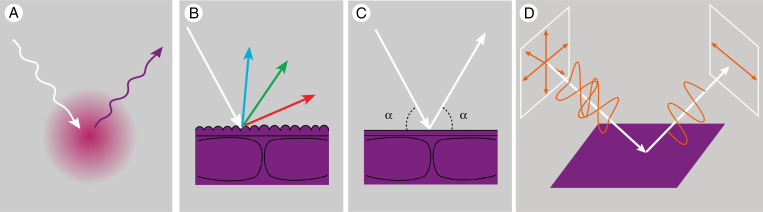 Fig. 4.