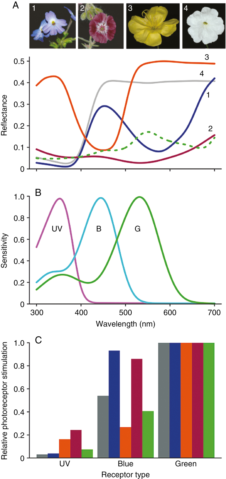 Fig. 2.