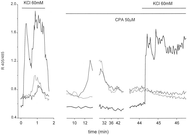 Fig. 3.