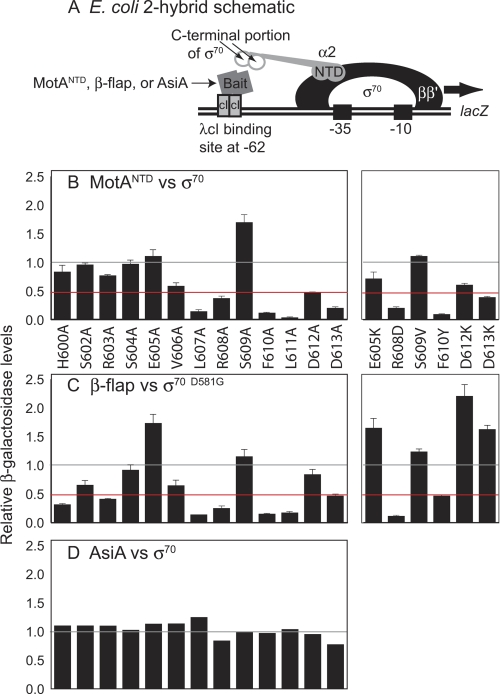 FIGURE 2.