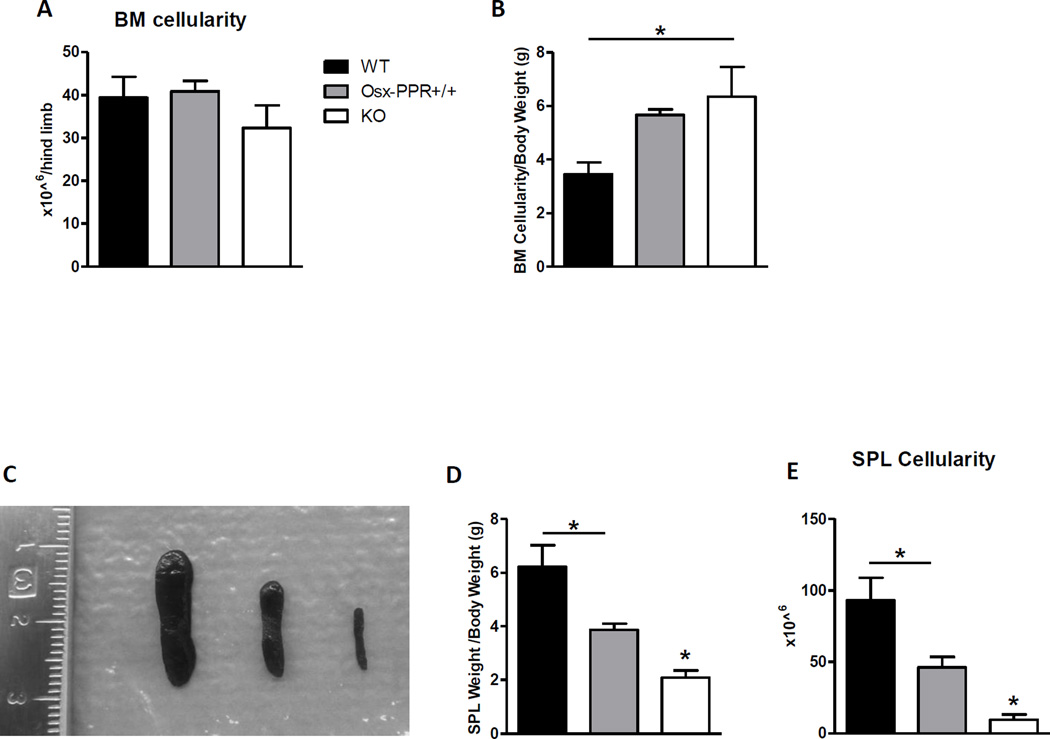 Fig.2