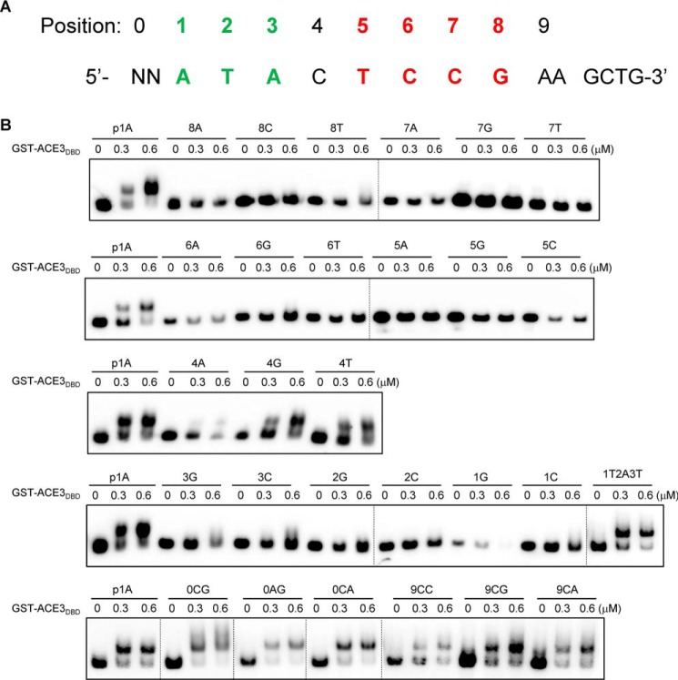 Figure 3.