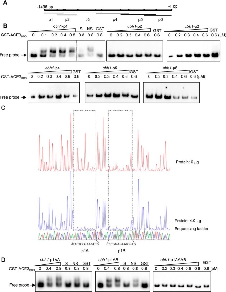 Figure 2.