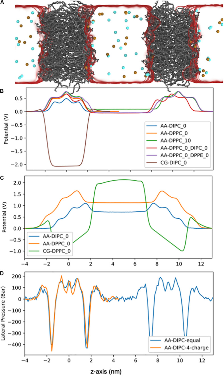 FIGURE 9