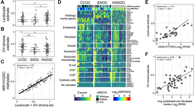 Figure 1. Quality control of samples used in this study. A–C, Cellular composition and tumor purity estimation from DNA methylation with three orthogonal methods. A, Estimate of immune cell fraction with leukocyte-specific DNA methylation signature for the OV histotypes (see Materias and Methods). Y-axis indicates the estimated leukocyte proportion of each sample, with samples divided by subtype on the x-axis. Significance level: *, P ≤ 0.05; **, P ≤ 0.01. Horizontal lines denote the first quantile, median, and third quantile. B, Estimate of ovarian stroma-like component fraction (y-axis), with tissue-specific methylation signature (see Materials and Methods). C, Total mesenchymal fraction estimated by DNA methylation β values at the polycistronic MIR141/200C promoter (y-axis) is highly correlated with the sum (x-axis) of leukocyte fraction (A) and stroma fraction (B). D, RNA-seq shows histotype and cellular composition differences by expression of known marker genes for various cell populations. Color represents the Z-score of counts per million for marker genes (rows) across samples (columns). Samples are clustered within each histotype and genes are clustered within each marker category indicated on the left of the heatmap. Canonical histotype markers are plotted as controls (top). E, DNA methylation–based leukocyte estimates from A (y-axis) correlate to PTPRC mRNA expression for samples, with matching RNA-seq and methylation data. F, As in E, but with ovarian stroma estimate from DNA methylation (y-axis) and the RNA-seq stroma markers (x-axis).