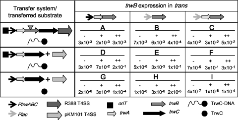 FIG. 2.