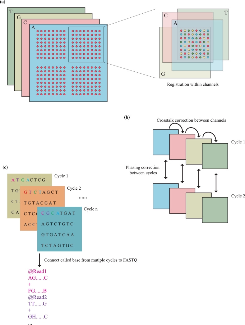 Figure 2: