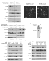 Extended Data 9