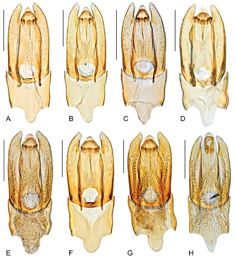 Figure 7.