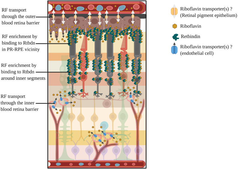 FIGURE 3