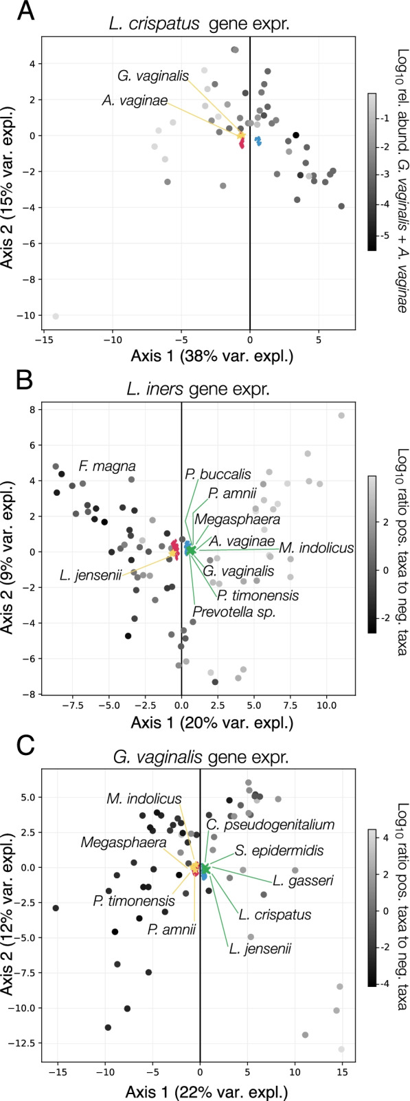 Fig. 7