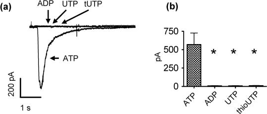 Supplementary Fig. 1