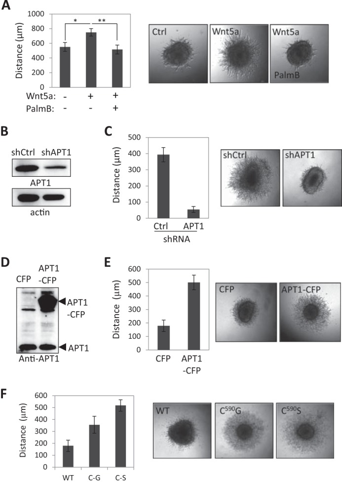 FIGURE 4.