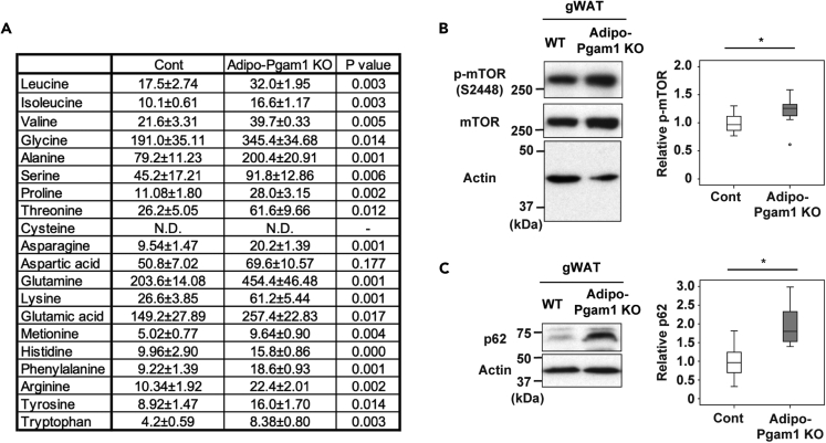 Figure 6