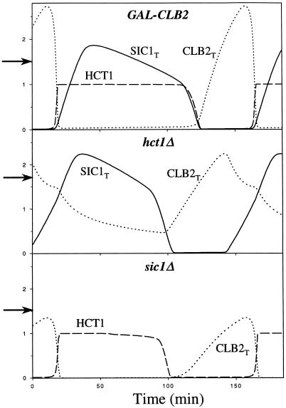 Figure 8