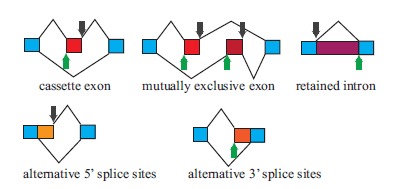 Fig. (1)