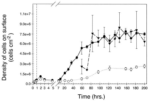 FIG. 3