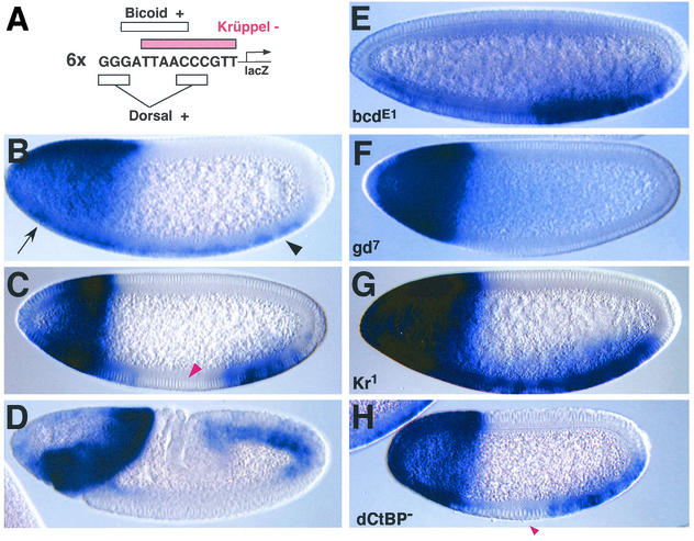 FIG. 5.