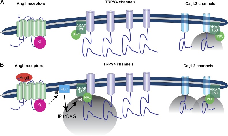 Figure 10.